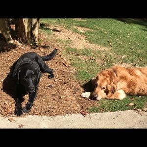 Meet your Posher, Jean